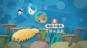 Tiger Fish and Blind Shrimp