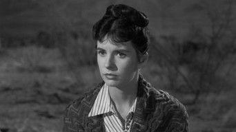 Incident of the Town in Terror