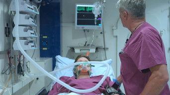 Dive becomes a nightmare