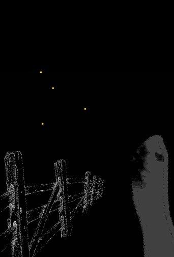 Fireflies Along the Fence film afişi