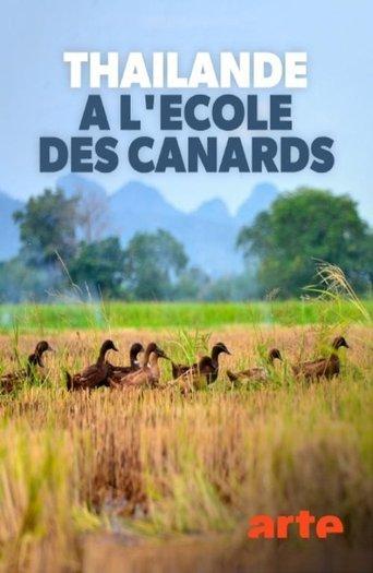 Thaïlande, à l'école des canards film afişi