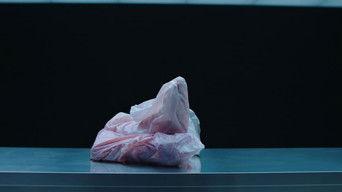 Episode 2: The Queens Day Murder