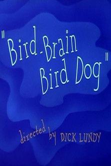 Bird-Brain Bird Dog film afişi