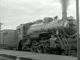 Waging Peace - The Rise of Pacifism