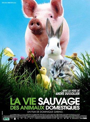 La vie sauvage des animaux domestiques film afişi