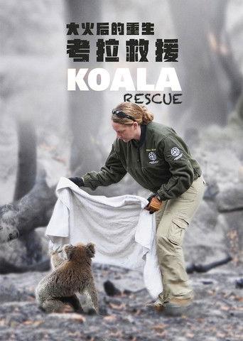 Koala Rescue film afişi