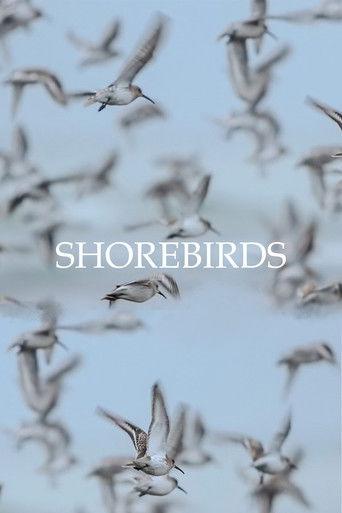 Shorebirds film afişi