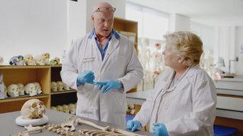 Dorset: The Durotriges Tribe