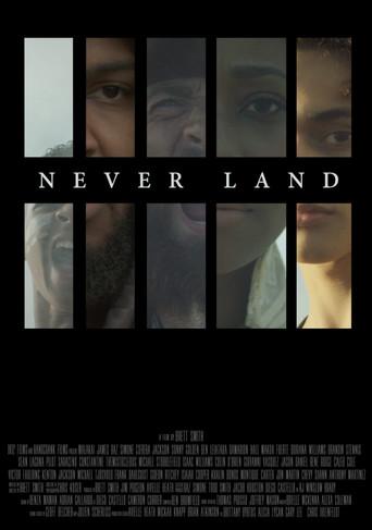 Never Land film afişi