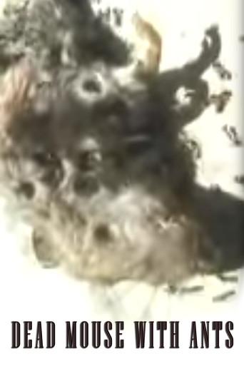 Dead Mouse with Ants film afişi