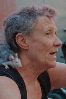 Alles ist hin film afişi