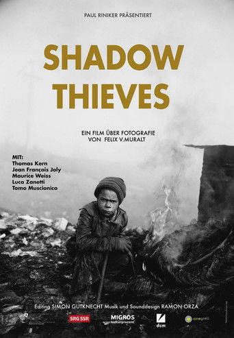 Shadow Thieves film afişi