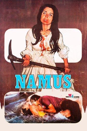 Namus film afişi