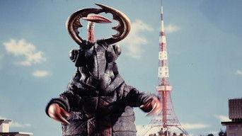 Mystery Homicide Beetle Incident