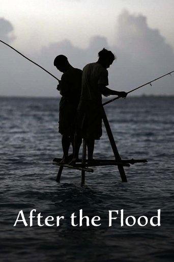 Après le déluge film afişi