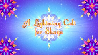 A Lightning Colt for Shaya