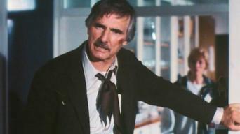 The Return of Sam McCloud