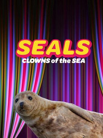 Seals - Clowns of the Sea film afişi
