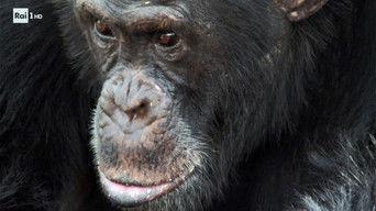 Childhood obesity, volcanoes, autism