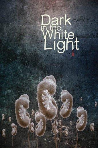 Dark in the White Light film afişi