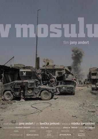 Inside Mosul film afişi