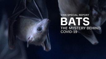 Bats: The Mystery Behind Covid-19