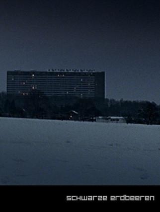 Schwarze Erdbeeren film afişi
