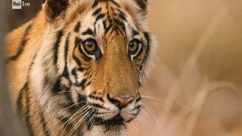 Johnson Space Center, the Rimini purifier