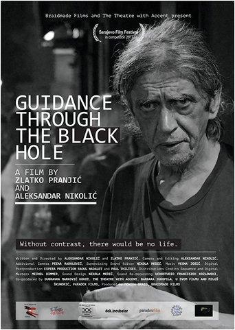 Guidance Through the Black Hole film afişi