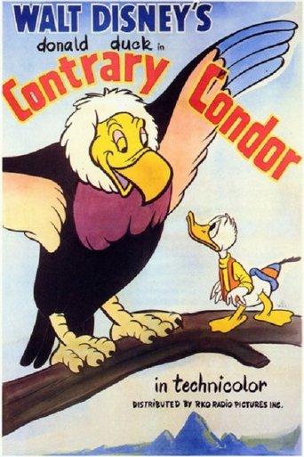 Contrary Condor film afişi