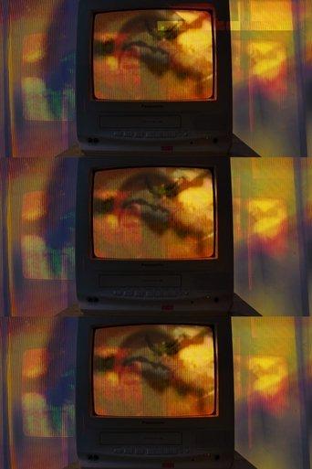 Bat Country film afişi