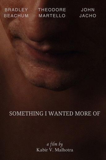 Something I Wanted More Of film afişi