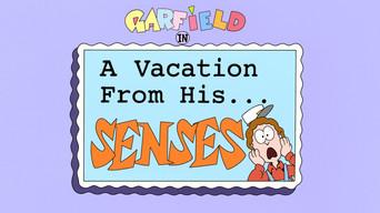 A Vacation From His Senses
