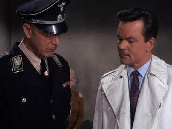 A Tiger Hunt In Paris (2)