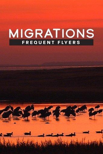 Migrations: Frequent Flyers film afişi