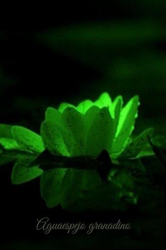 Water-Mirror of Granada film afişi