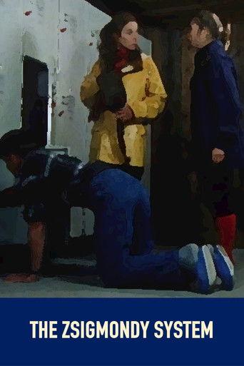 The Zsigmondy System film afişi