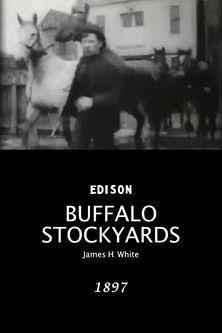 Buffalo Stockyards film afişi