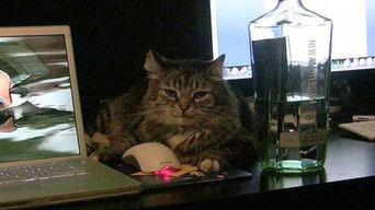 RT Comic Timelapse (writer style)