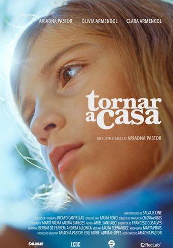 Tornar a casa film afişi