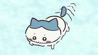 Swim Time / Give It Back