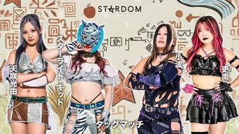 Stardom in Tsugaru 2025 ~Tsugaru City 20th Anniversary of the Implementation of the Municipal System ~