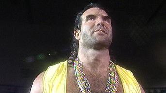 Superstars - Mar. 06, 1993