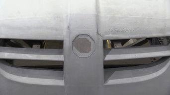 Life After Death's Horse