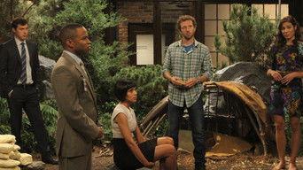 The Archaeologist in the Cocoon