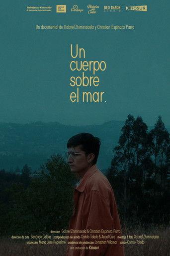 A body over the sea film afişi