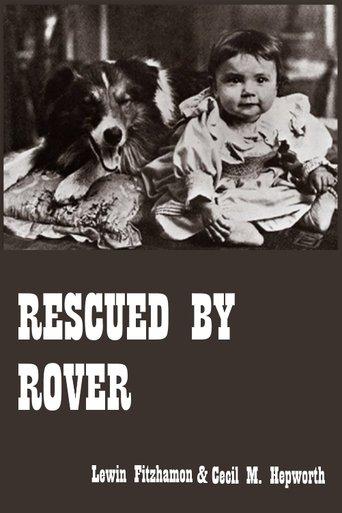 Rescued by Rover film afişi