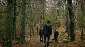 Werewolf and Demon in the Woods