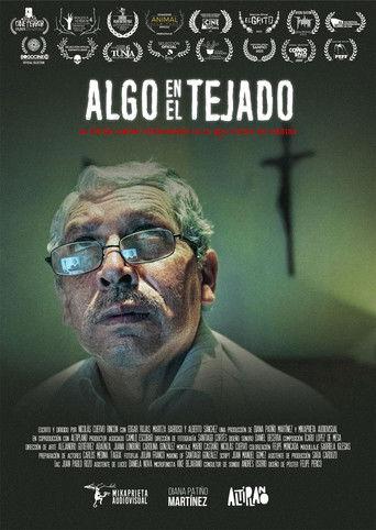 Something on the roof film afişi