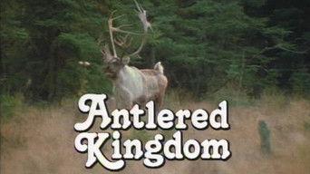 Antlered Kingdom